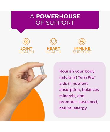 CurcuminPro TerraPro Detox Capsules - Natural Bentonite Clay for Digestive Cardiovascular & Cognitive Support | 60-Count Best Gut Heart & Brain Health Supplement - Buy Online on GoSupps.com