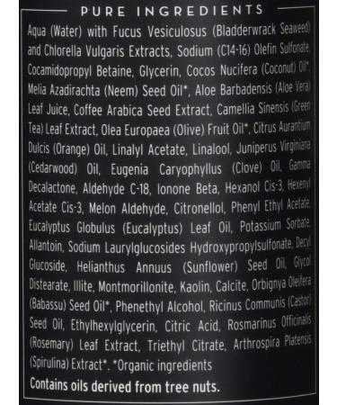 Seaweed Bath Co. Detox Purifying Body Wash - Refreshing Orange Eucalyptus & Cedar Scent Green Tea Extract & French Clay 12 Oz - International Shipping Available - Buy Online on GoSupps.com