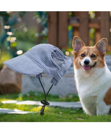 Shop Predolo Pet Sports Hat - Fashionable Dog Solar Hat with Ear Holes for Sun Protection | Blue L - Perfect Baseball Cap for Small Dogs - Buy Online on GoSupps.com