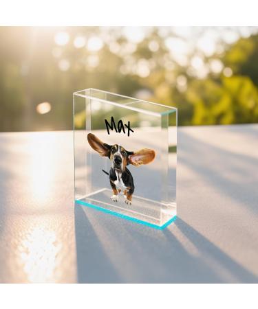 TULLUN Personalised Custom Made Pet Dog Cat Animal Memorial Acrylic Crystal Clear Block Plaque with Photo Text Name Date - Full Print 3D Effect - Buy Online on GoSupps.com