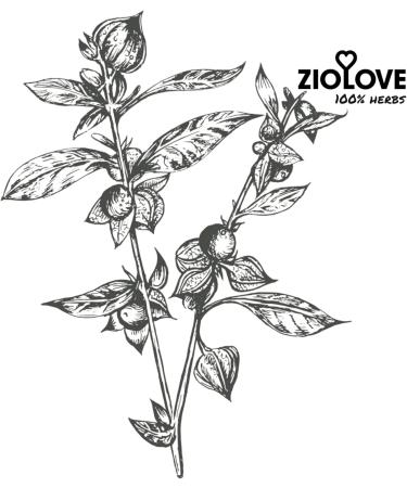  ZIOLOVE Aswagandha 200g Root Cut - Buy Online on GoSupps.com