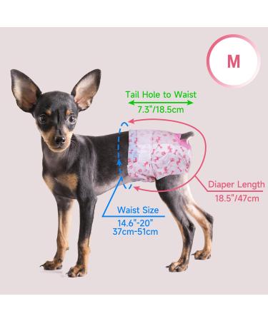 Pet Soft Dog Diapers for Bitches - 40 Disposable High-Suction Diapers for Dogs & Cats - Adjustable Tail Hole (M) - Buy Online on GoSupps.com