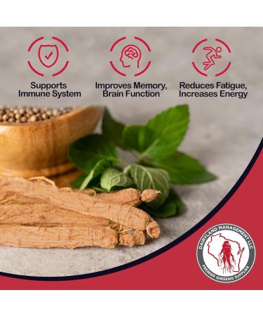 Dairyland Management LLC Red Panax Ginseng Root - 4 oz Pack of Korean Panax Ginseng Root - Authentic Panax Ginseng - Non-GMO Gluten Free Ginseng Root - Ideal for Use in Soup Tea 4 Ounce (Pack of 1) - Buy Online on GoSupps.com