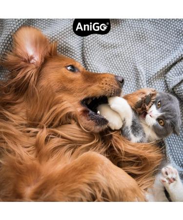 Anigo Premium Salmon Oil for Dogs - 1 Liter Omega 3 & 6 High-Dose Fish Oil for Optimal Health - BARF Quality - Buy Online on GoSupps.com