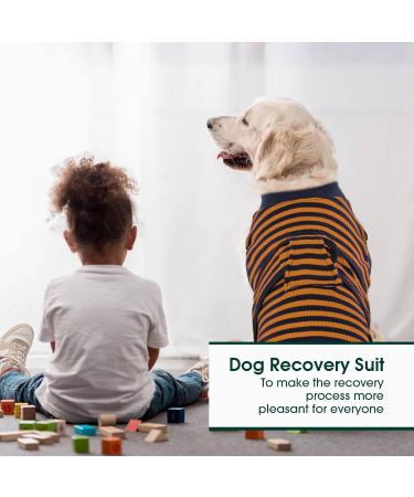 Kuoser Dog Recovery Bodysuit for Male Dogs - Breathable Post-Op Wound Protection & Leakage Prevention - Brown Striped S Size (1 Pack) - Buy Online on GoSupps.com