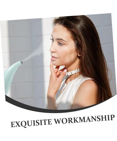 Didiseaon Steamer Spray Woman Use for Atomization Face Facial Women Mister Girl Salon Mist Portable Handheld - Buy Online on GoSupps.com
