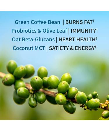 Garden of Life MD Protein Fit - Sustainable Plant-Based Weight Loss Rich Chocolate 22.39 oz - Buy Online on GoSupps.com