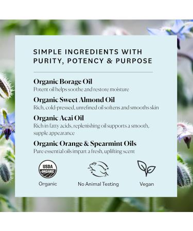 Buy Sky Organics Body Oil - Extra Hydrating Organic Skin Care with Borage Acai & Sweet Almond Oil | Moisturizing Massage Oil Refreshing Orange & Spearmint Scent - 6 fl oz International Shipping Available - Buy Online on GoSupps.com