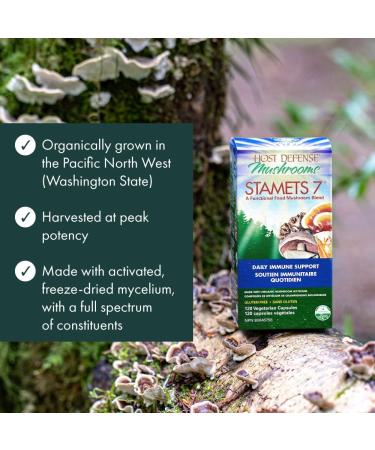 Host Defense Stamets 7 Mushroom Complex Supplements |Immune Booster Supplement with 7 Mushroom Blend - Lions Mane Chaga Cordyceps Reishi Maitake Mushrooms Supplements Capsules (120 Count (Pack of 1) Stamets 7 Capsules) Stamets 7 Capsules 120 count (Pack o - Buy Online on GoSupps.com