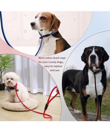 Durable 4.5FT Nylon Dog Slip Lead Leash for Small Medium Dogs - Black - Buy Online on GoSupps.com