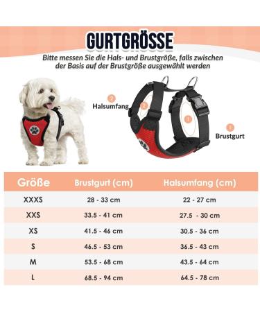 Slowton Dog Harness - No Pull Safety Harness for Small & Medium Dogs | Soft Padded & Breathable LED Design - Buy Online on GoSupps.com