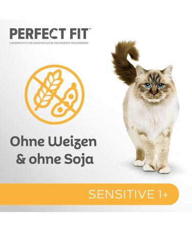 Sensitive 1+ Cat Wet Food - Salmon & Chicken in Sauce | 13 x 85g Portions | 4.42kg Pack - International Shipping Available - Buy Online on GoSupps.com