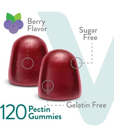 Vegan Sugar Free Biotin Gummies 5,000mcg for Hair, Skin & Nail Health - 60 Count (Pack of 2) - Buy Online on GoSupps.com