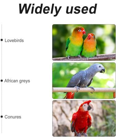 Balacoo Frog Pet Bird Hoodie - Christmas Parrot Costume Jumpsuit for Winter Warmth | Ideal for Parakeet, Cockatiel, Conure, Cockatoo | Brown S - Buy Online on GoSupps.com