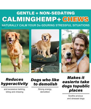 HUALIJIA Calming Treats For Dogs 60 Count Hemp Calming Chews for Dogs - Reduce Stress Relief Separation Barking Fireworks Thunderstorms - 100% Natural Ingredients Dogs Calming Treats (Beef) - Buy Online on GoSupps.com