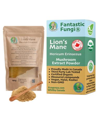 Organic Lions Mane mushroom powder extract by Ecogenya - Proudly Canadian fruiting body extract Value Pack (250 Grams) 250 g (Pack of 1)