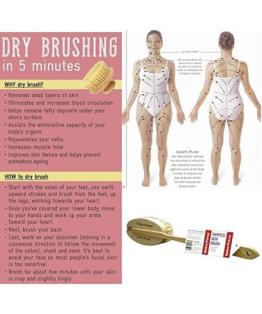 Yerba Prima Tampico Skin Brush - Natural Vegetable Fiber Bristles for Dry Skin Brushing - Buy Online on GoSupps.com