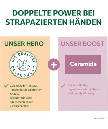  Alkmene alkmene 6 x 75ml Calendula Regenerating Hand Concentrate for Damaged Hands - Extra Dry and Chapped Hand Cream - Vegan Hand Cream for Men - Buy Online on GoSupps.com