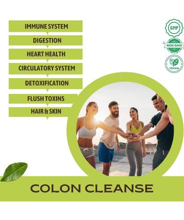 Immu-nat H-D Herbal Liver Detox Liquid Supplement - Supports Gut Health & Kidney Function - Milk Thistle, Artichoke, Chicory - Non-GMO - 8.50oz - Buy Online on GoSupps.com