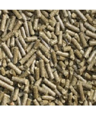 10 x 50 ml Lining Sticks in handy screw top tin Lining Shrimp Granules - Buy Online on GoSupps.com