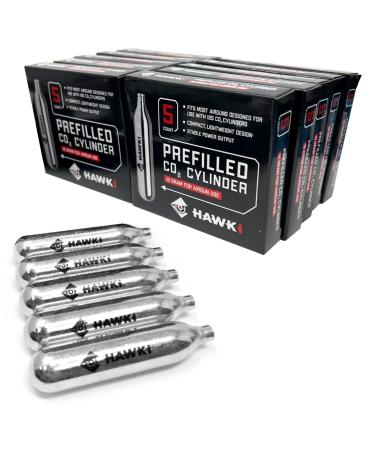 Hawki CO2 12 Gram Cartridges for use with Air Guns, BB Guns, Airsoft Pistols, Paintball Gun Accessories, 12g Airgun Airsoft CO2 Cylinder CO2 12g Cylinders (50 Pack)