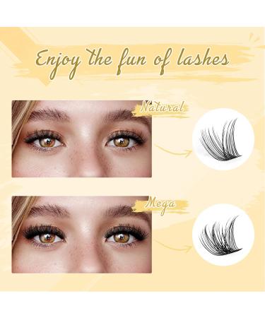 QUEWEL 144 PCs Eyelash Clusters & DIY Extensions Set - Super Hold Binding & Sealing Individual Applicator Tool - Qurr-DH-02 - Buy Online on GoSupps.com