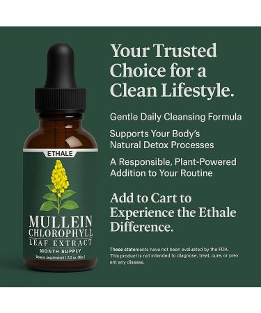 ETHALE Mullein Drops for Lungs Natural Herbal Supplement with Mullein Leaf & Chlorophyll Daily Lung and Breathing Support 30 Day Supply Non-GMO Plant-Based Formula (2) - Buy Online on GoSupps.com
