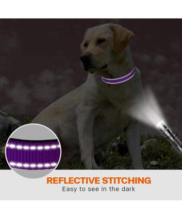 Taglory Soft Padded Neoprene Dog Collar for Medium Dogs - Adjustable Reflective Purple - 1 Pack - Buy Online on GoSupps.com