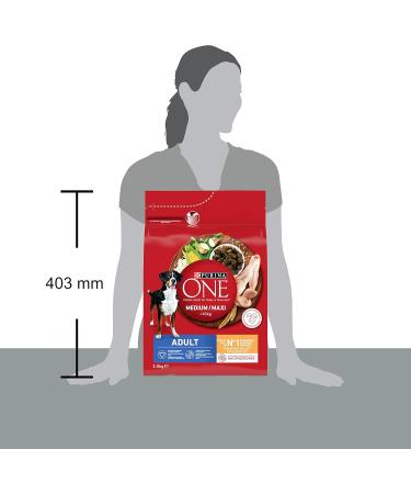 ONE Chicken/Rice Croquettes for Medium/Maxi Adult Dogs 10kg - 2.5kg Bag - Buy Online on GoSupps.com