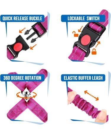 Slowton Double Dog Safety Belt | Dual-Pet Car Head Support for Small & Medium Dogs | Elastic Connection for Safe Vehicle Travel - Buy Online on GoSupps.com