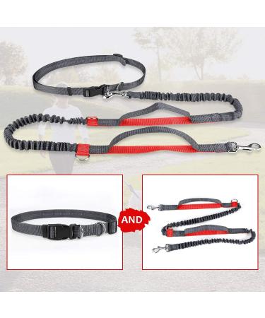 Achort Hands-Free Dog Leash & Waist Belt with Bungee - Reflective Adjustable for Dogs Up to 110 kg - Perfect for Running & Jogging (Red) - Buy Online on GoSupps.com