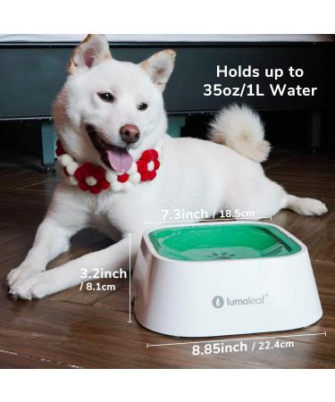 Lumoleaf 1L No-Drool Dog Water Bowl | Leak-Proof Anti-Schwapp Travel-Friendly Cat & Dog Dispenser (Green) - Buy Online on GoSupps.com
