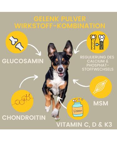 Dogs MSM 150Gr Joint Powder Dog with Glucosamine Chondroitin Vitamins CD K3 Calcium I for Joints & Joint Function for Joints I Joint Care MSM Powder - Buy Online on GoSupps.com