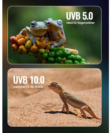 Doright 10.0 26W UVA UVB Reptile Lamp - E27 Fluorescent Light for Lizard Chameleon Gecko & Turtle Tank | AC 220-240V - Buy Online on GoSupps.com