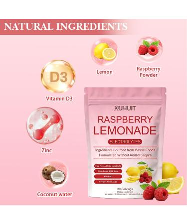Raspberry Lemonade Electrolytes Powder with Coconut Water & Essential Minerals | Sugar-Free Hydration Support for Rapid Replenishment | Keto Travel & Daily Wellness | 30 Servings 540g - Buy Online on GoSupps.com