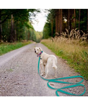 Shop Wolfone 6m Viridiangr n Waterproof Dog Tow Lines - Durable Training Leash for Recall Swimming Camping & Outdoor Adventures - Buy Online on GoSupps.com