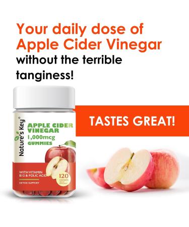 Nature's Key Apple Cider Vinegar Gummies 120 Count ACV Gummy with Folic Vitamin B6 B12 Beetroot & Pomegranate - Vegan Non-GMO & Gluten-Free 120 Count (Pack of 1) - Buy Online on GoSupps.com