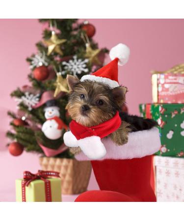 Pet Leso Red Christmas Hat for Cats & Dogs | Festive Holiday Accessory for Pets - Buy Online on GoSupps.com