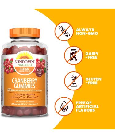 Sundown Cranberry Gummies 500mg - 75 Count, Urinary Tract Health Support, Cran-Raspberry Flavor - Buy Online on GoSupps.com