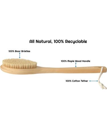 KOZIS Wooden Bath Brush - Maple Wood Handle - 100% Recyclable - Exfoliating Shower Scrubber for Dry/Wet Skin - Buy Online on GoSupps.com
