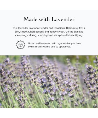 evanhealy Rosehip Calming Serum | Blue Skin Care Line with Organic Whole Essential Oils | Nurturing Soothing Facial Oil Serum | Organic Facial Oil For Sensitive Reactive Skin - Buy Online on GoSupps.com