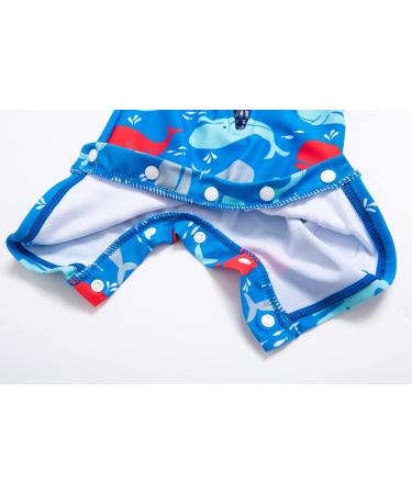 BONVERANO Baby Boys Swimsuit | Toddler Short-Sleeve Zipper Bathing Suit | UPF 50+ Sun Protection | Colorful Whale Design | 12-18 Months - Buy Online on GoSupps.com