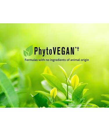 LUMIERE HIGH-CURE Shampoo for Color Treated Hair | Argan Oil & Ceramides - Perfect Colour & Shine for Dry Dull Weakened Hair - Salon Quality Care - Buy Online on GoSupps.com