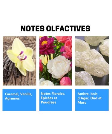 AYAT PERFUMES Perfumed Oil 12ml From Dubai | Musk Halal For Men and Women Alcohol Free | Perfume Extract/Attar For Long Lasting Scent | Arabian scent Made and Designed in Dubai (Oud Al Lail) - Buy Online on GoSupps.com