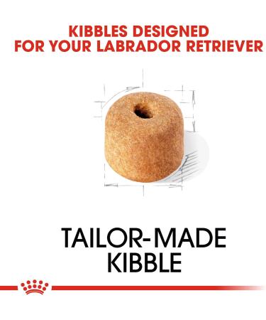 Royal Canin Dog Food Labrador Retriever Dry Mix 12kg - Buy Online on GoSupps.com