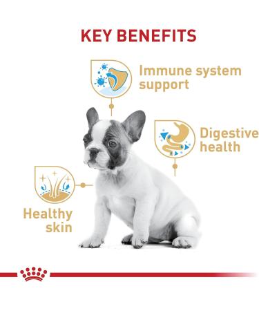 Royal Canin French Bulldog Puppy Breed Specific Dry Dog Food 3kg - Buy Online on GoSupps.com