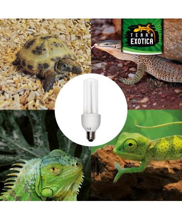 Compact Pro 8.0 UVB Lamp for Terrariums | Energy-Saving Daylight for Agamens Chameleons Iguanas & Turtles - Buy Online on GoSupps.com
