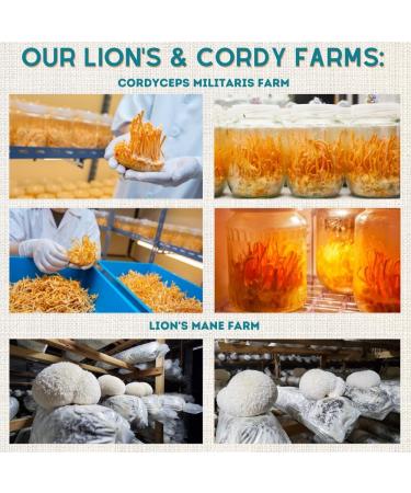 Body & Mind - Pure Organic Lion's Mane & Cordyceps Mushrooms 12:1 Dual Extract - Focus Cognition Energy Endurance - 100% Fruiting Bodies - Add to Water/Tea/Coffee/Smoothies - 125 Grams 4.41 Ounce (Pack of 1) - Buy Online on GoSupps.com