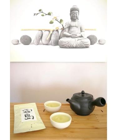  TeaClub Kirishima Gyokuro Premium Japanese Green Tea with delicate sweetness and umami - 50g - Loose Leaf Japanese Green Tea TeaClub - Buy Online on GoSupps.com