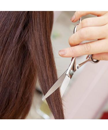 Mesybveo 2-Piece Hair Scissors Set | Stainless Steel Styling & Thinning Shears for Home & Salon Use - Buy Online on GoSupps.com